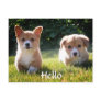 Hello Welsh Pembroke Corgi Puppy Dog Postcard
