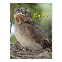 Hello World Postcard
