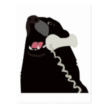 HELLO YES THIS IS DOG telephone phone Post Cards