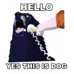 Hello? Yes This Is Dog t-shirts