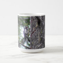 Hells Canyon Idaho Animals / Birds Aves Coffee Mug