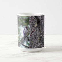 Hells Canyon Idaho Animals / Birds Aves Coffee Mugs