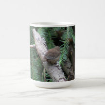 Hells Canyon Idaho Animals / Birds Aves Mugs