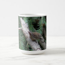Hells Canyon Idaho Animals / Birds Aves Mugs