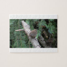 Hells Canyon Idaho Animals / Birds Aves Jigsaw Puzzle