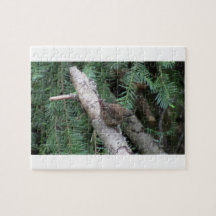 Hells Canyon Idaho Animals / Birds Aves Puzzle