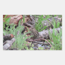 Hells Canyon Idaho Animals / Birds Aves Sticker