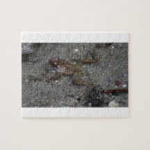Hells Canyon Idaho Aquatic Animals / Plants Frog Puzzle