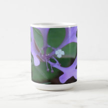 Hells Canyon Idaho Flora Wildflowers Flowers Coffee Mugs