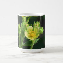 Hells Canyon Idaho Flora Wildflowers Flowers Coffee Mugs