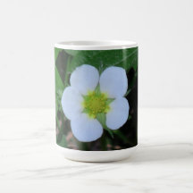 Hells Canyon Idaho Flora Wildflowers Flowers Mug