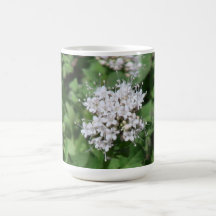Hells Canyon Idaho Flora Wildflowers Flowers Mug