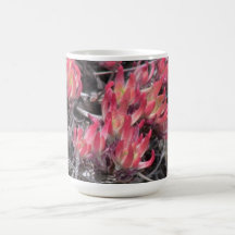 Hells Canyon Idaho Flora Wildflowers Flowers Coffee Mug