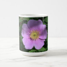 Hells Canyon Idaho Flora Wildflowers Flowers Coffee Mug