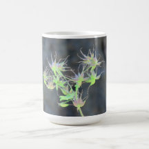 Hells Canyon Idaho Flora Wildflowers Flowers Coffee Mug