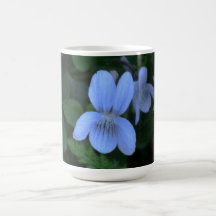 Hells Canyon Idaho Flora Wildflowers Flowers Coffee Mugs