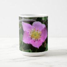 Hells Canyon Idaho Flora Wildflowers Flowers Mug