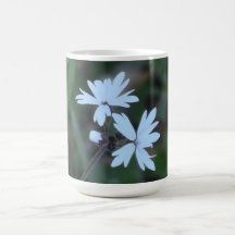 Hells Canyon Idaho Flora Wildflowers Flowers Mug