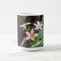 Hells Canyon Idaho Flora Wildflowers Flowers Coffee Mugs
