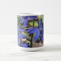 Hells Canyon Idaho Flora Wildflowers Flowers Mug