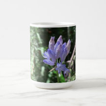 Hells Canyon Idaho Flora Wildflowers Flowers Coffee Mugs