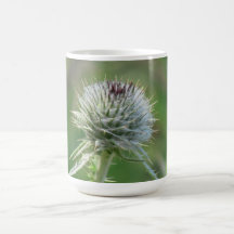 Hells Canyon Idaho Flora Wildflowers Flowers Mugs