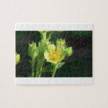Hells Canyon Idaho Flora Wildflowers Flowers Puzzle