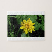Hells Canyon Idaho Flora Wildflowers Flowers Puzzles