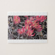 Hells Canyon Idaho Flora Wildflowers Flowers Jigsaw Puzzle