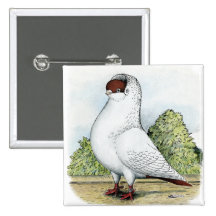 Helmet:  Red Pigeon Button