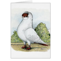 Helmet:  Red Pigeon
