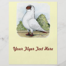 Helmet:  Red Pigeon Custom Flyer