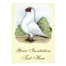Helmet:  Red Pigeon Personalized Invites