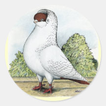 Helmet:  Red Pigeon Round Stickers