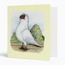Helmet:  Red Pigeon Vinyl Binders