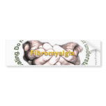 Help Me In My Healing Bumper Stickers