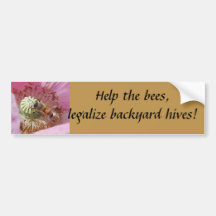 Help the bees, legalize backyard hives! bumper stickers