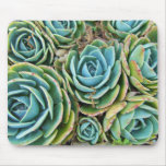Hen and Chicks Mouse Pads