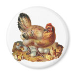 Hen Chicks Babies and Eggs Fridge Magnet