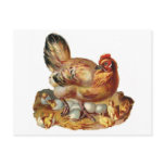 Hen Chicks Babies and Eggs Post Cards