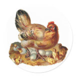 Hen Chicks Babies and Eggs Sticker
