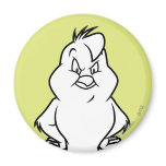 Henery Hawk magnets