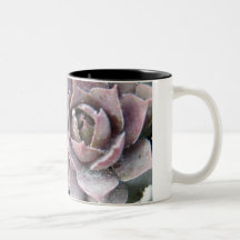 Hens and chicks mugs