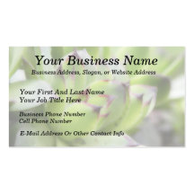Hens And Chicks - Sempervivum Business Cards