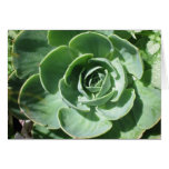 Hens & Chicks Cards