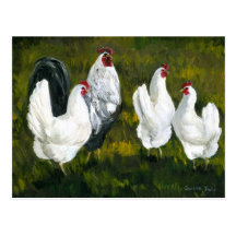 "Hens & Rooster" Art Reproduction Postcard