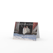 Hens waiting for Santa christmas card