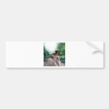 HER SECRET GARDEN BUMPER STICKERS