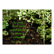 Herb card