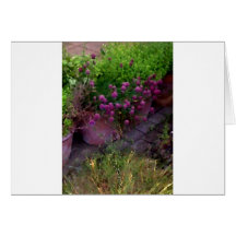 Herb Garden Cards